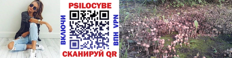 Галлюциногенные грибы мухоморы  Купить закладки  Кызыл 